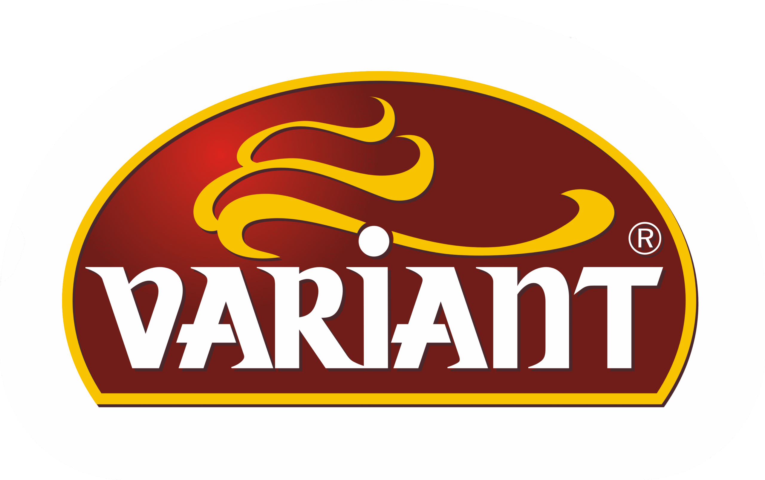 Primary Raster logo